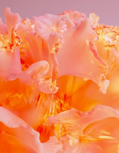 rendu 3D anémones couleur pêche sur fond uni